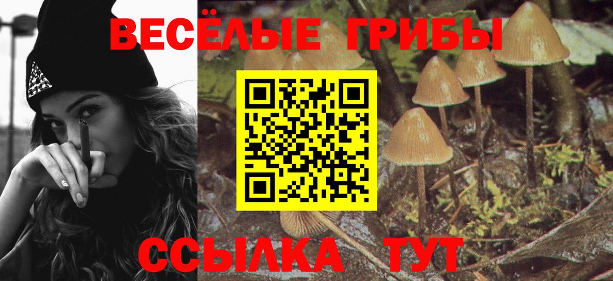 Галлюциногенные грибы MAGIC MUSHROOMS Надым